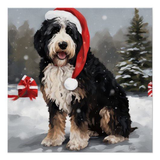 Bernedoodle Hond in Sneeuw Kerstmis Perfect Poster (Voorkant)
