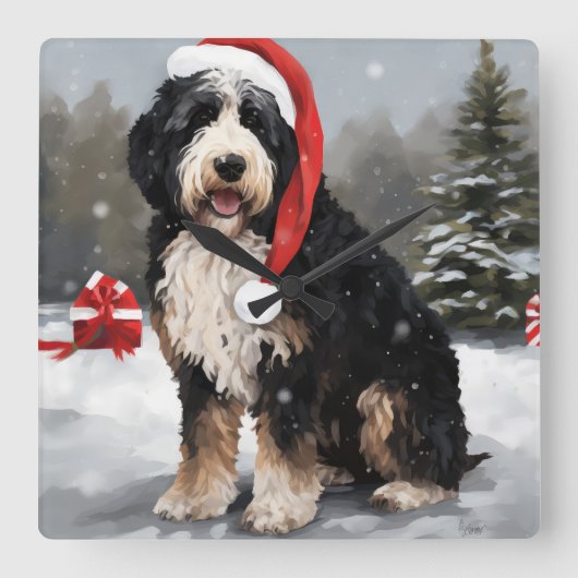 Bernedoodle Hond in Sneeuw Kerstmis Vierkante Klok (Voorkant)