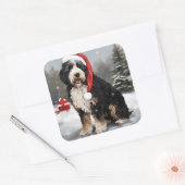 Bernedoodle-hond in sneeuw met Kerstmis Vierkante Sticker (Envelop)