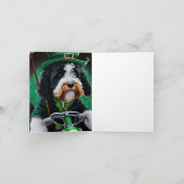 Bernedoodle-hond rijdt op fiets St. Patrick's Day Kaart (Binnen)