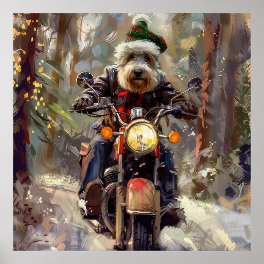 Bernedoodle-hond rijdt op motorfiets met Kerstmis Poster (Voorkant)