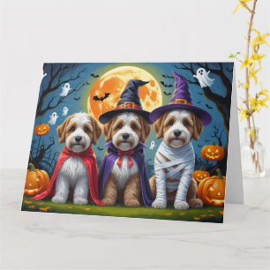 Bernedoodle Honden Pompoen Halloween Grappig Kaart