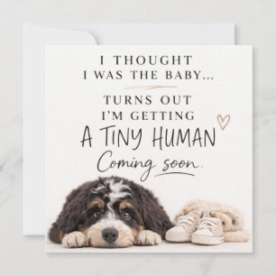 Bernedoodle-honden Zwangerschapsaankondigingskaart Kaart