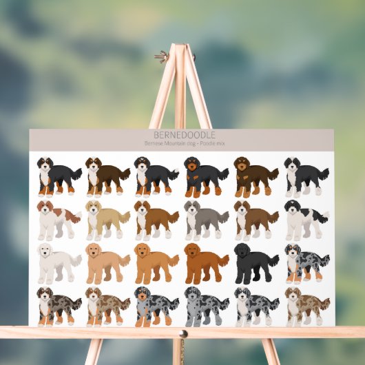 Bernedoodle hondenmix acryl bord (Neutraal)