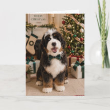 Bernedoodle Kerstkaart
