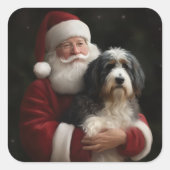 Bernedoodle met Sinterklaas Feestelijke Kerstmis Vierkante Sticker (Voorkant)