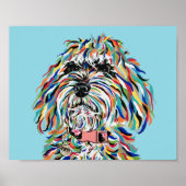 Bernedoodle Poster (Voorkant)