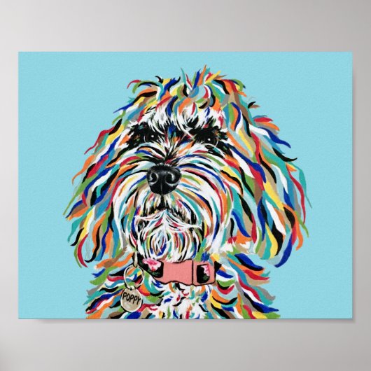 Bernedoodle Poster (Voorkant)