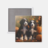 Bernedoodle Pup Autumn Delight Pompoen Magneet (Voorkant / Achterkant)