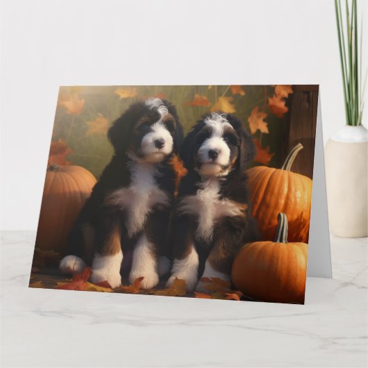 Bernedoodle Puppy Herfst Plezier Pompoen Kaart (Voorkant)