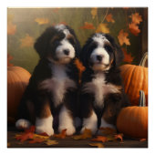Bernedoodle Puppy Herfst Verrukking Pompoen Perfect Poster (Voorkant)