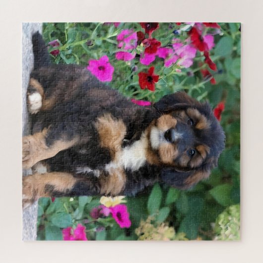 Bernedoodle puppy in petunia's legpuzzel (Horizontaal)