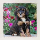 Bernedoodle puppy in petunia's legpuzzel (Verticaal)