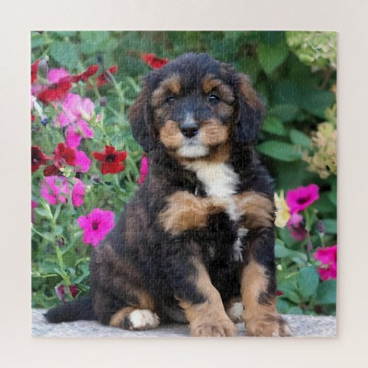 Bernedoodle puppy in petunia's legpuzzel (Verticaal)