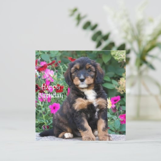 Bernedoodle puppy in petunias Verjaardag Kaart (Staand voorkant)