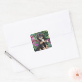 Bernedoodle puppy in petunia's vierkante sticker (Envelop)