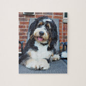 Bernedoodle puzzle legpuzzel (Verticaal)