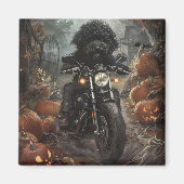 Bernedoodle Rijden Motorfiets Halloween Eng Magneet (Voorkant)