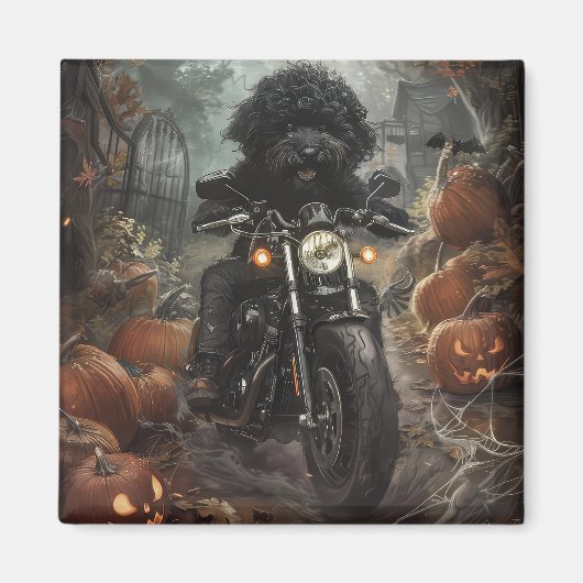 Bernedoodle Rijden Motorfiets Halloween Eng Magneet (Voorkant)