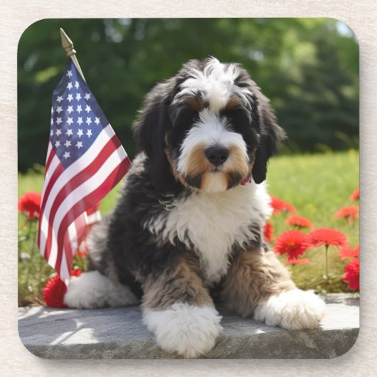 Bernedoodle USA Onderzetters (Voorkant)