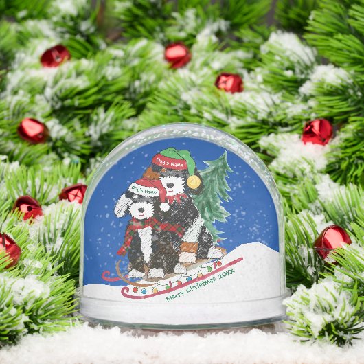 Bernedoodles kerstslee brengt thuisboom sneeuwbol (Kerstmis)