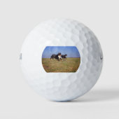 berner berg hond groep tweede golfballen (Voorkant)
