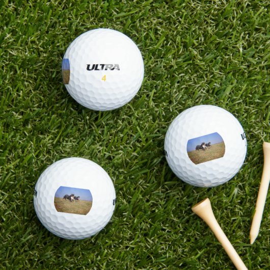 berner berg hond groep tweede golfballen (Insitu Gras)