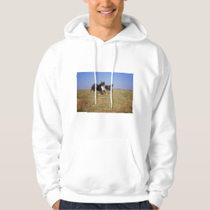 berner berg hond groep tweede hoodie