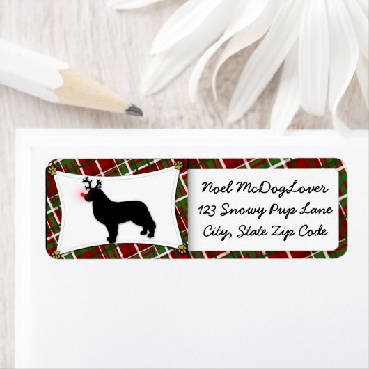 Berner Berg Hond Rendier Kerstmis Etiket (Insitu)