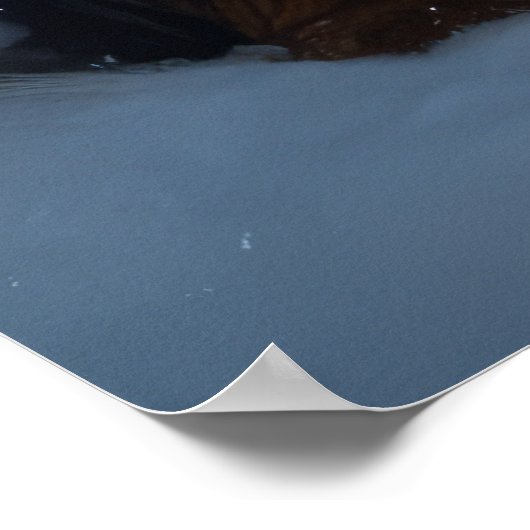 Berner Berg Sneeuwslee Kerstdecoratie Poster (Hoek)