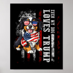 Berner Berg Zelfs mijn hond houdt van Trump Grappi Poster