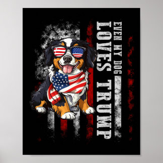 Berner Berg Zelfs mijn hond houdt van Trump Grappi Poster