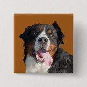 Berner Berghond Button Waterverf (Voorkant)