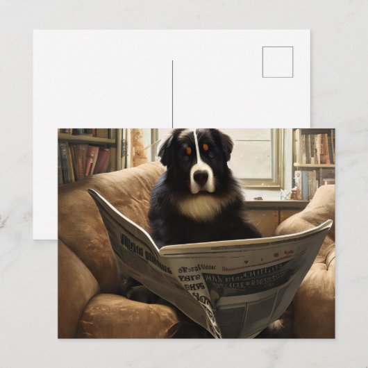 Berner Berghond De krant lezen Briefkaart (Voorkant / Achterkant)