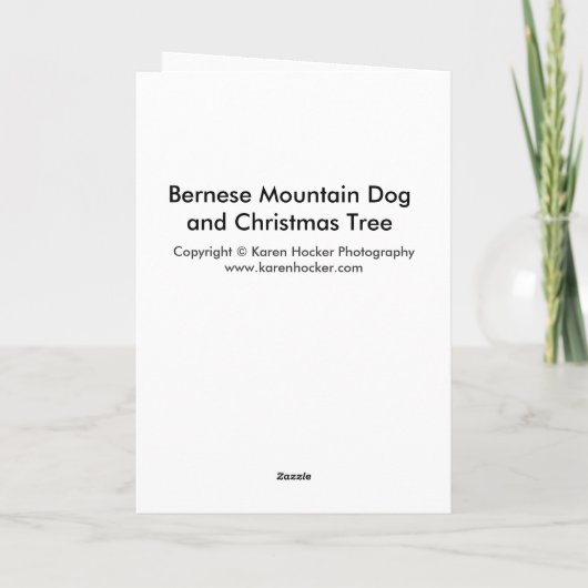 Berner Berghond en Kerstboom Feestdagen Kaart (Achterkant)