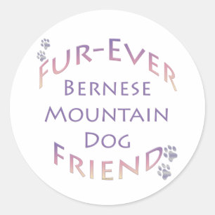 Berner Berghond Furever Ronde Sticker