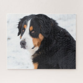 Berner Berghond in de sneeuw Legpuzzel