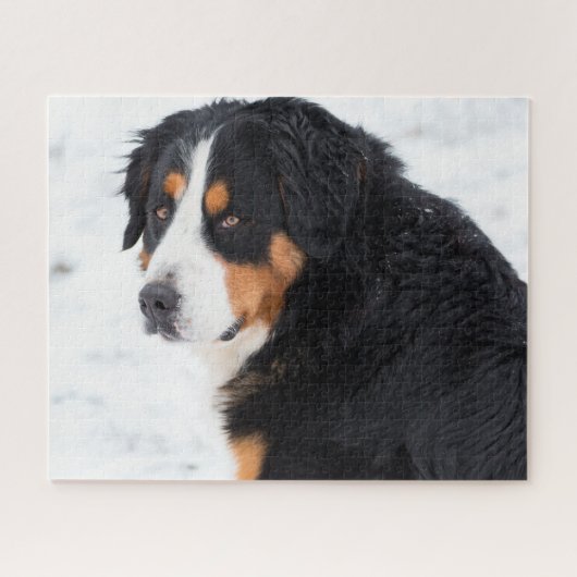 Berner Berghond in de sneeuw Legpuzzel (Horizontaal)