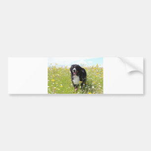 berner berghond in het veld bumpersticker