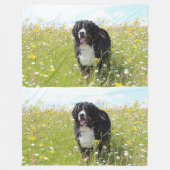 berner berghond in het veld fleece deken (Voorkant)