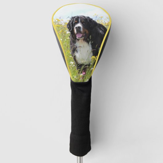 berner berghond in het veld golfheadcover (Voorkant)