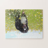 berner berghond in het veld legpuzzel (Horizontaal)