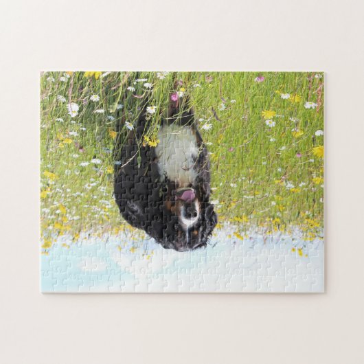 berner berghond in het veld legpuzzel (Horizontaal)