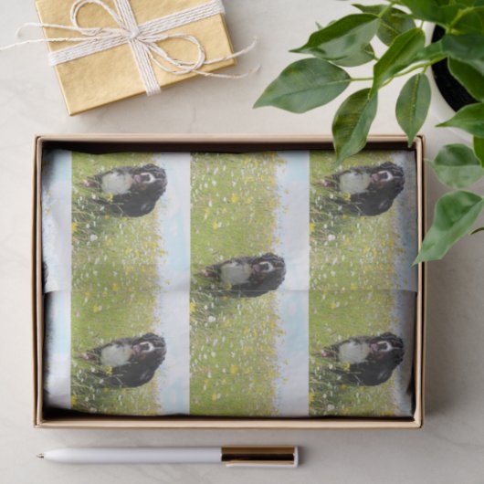 berner berghond in het veld tissuepapier (Geschenk)