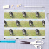 berner berghond in het veld tissuepapier (Craft)