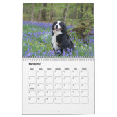 Berner berghond Kalender (Mar 2027)