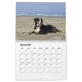 Berner berghond Kalender (Feb 2027)