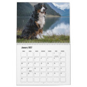 Berner berghond Kalender (Jan 2027)