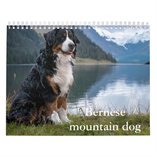 Berner berghond Kalender (Hoes)