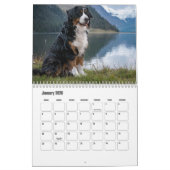 Berner berghond Kalender (Jan 2026)